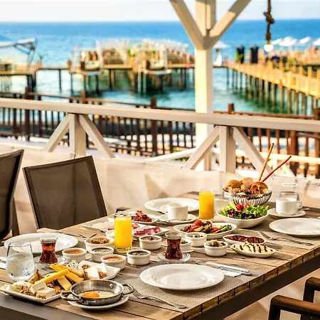Elexus Luxury & & Casino Hotel 5*